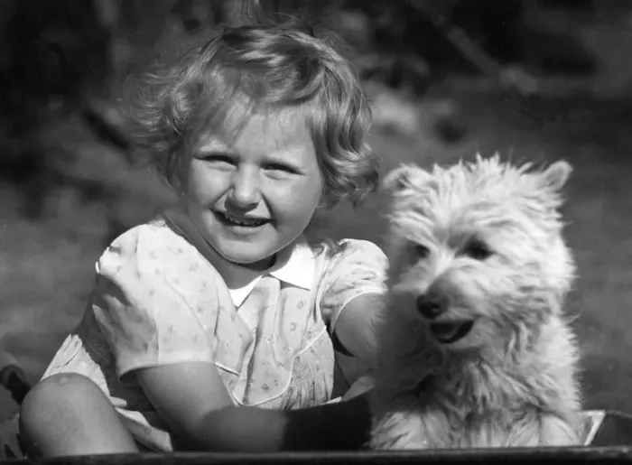 Framed Print : Young girl sitting with dog. c. 1945 P044484 Framed Print : Young girl sitting with dog. c. 1945 P044484
