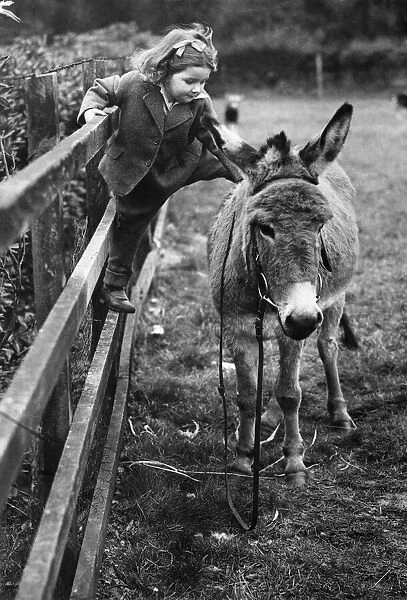 A young girl stroking a donkey November 1944 P011870