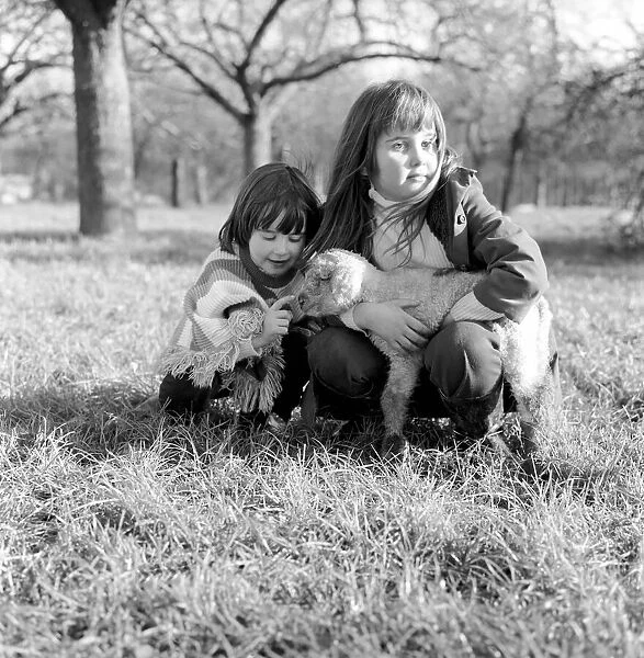 Young girls with spring lambs in Kent. January 1975 75-00492-001