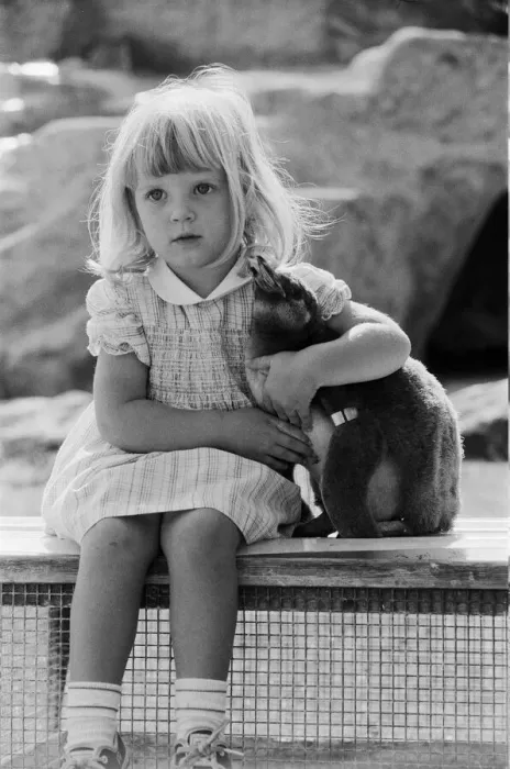 Framed Print : Young Kirsten Ogilvie with a baby penguin at the Cotswold WildLife Park in Oxfordshire Framed Print : Young Kirsten Ogilvie with a baby penguin at the Cotswold WildLife Park in Oxfordshire