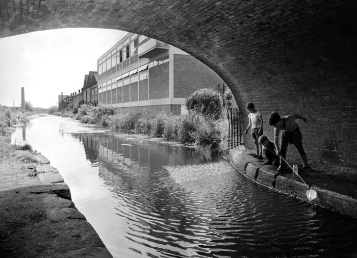Framed Print : These young lads are having fun fishing with a net in the Coventry Canal at the Cash Framed Print : These young lads are having fun fishing with a net in the Coventry Canal at the Cash