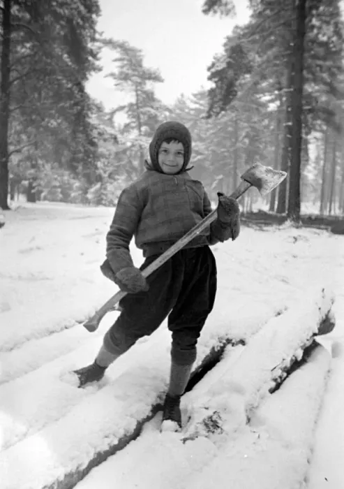 Framed Print : A young lumberjack at work in the snow Circa 1943 Framed Print : A young lumberjack at work in the snow Circa 1943