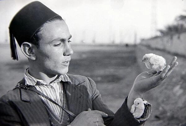 A young man of Egypt wearing a fez, holding chicks in his hand Circa 1935