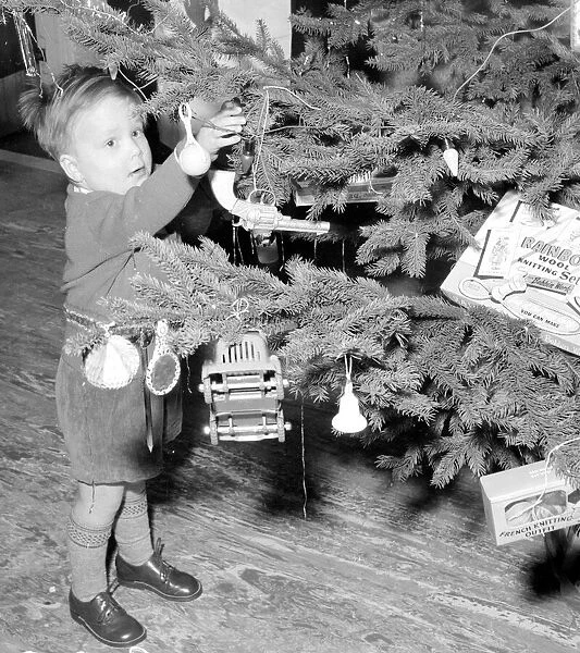 Young master John Masterson inspects the christmas tree