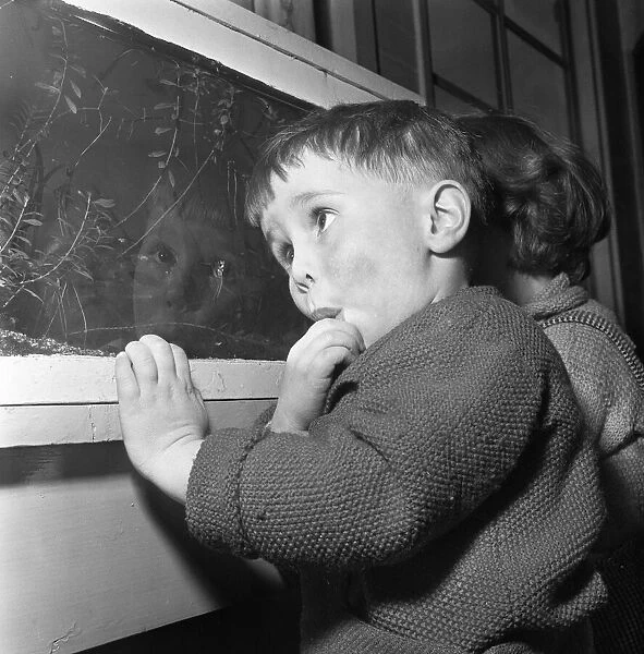 A young pupil at the L. C. C. Day nursery in Regency Street, Victoria London