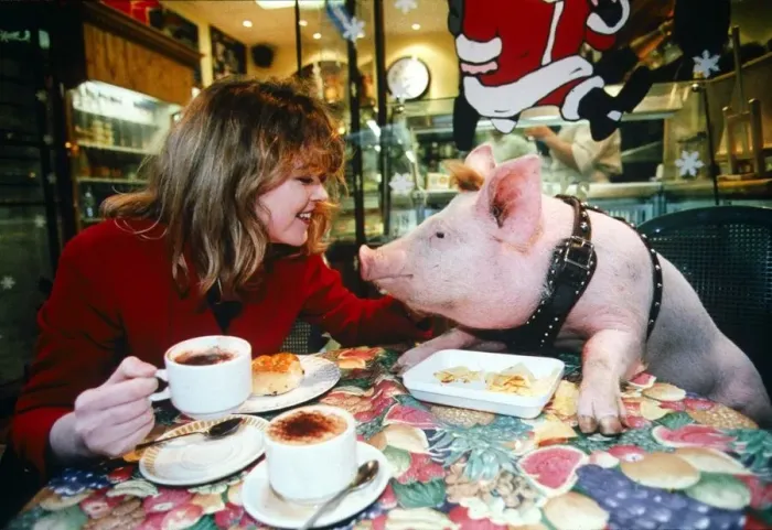 Framed Print : Young Women with Pig at Coffee Table - December 1995 girl at table