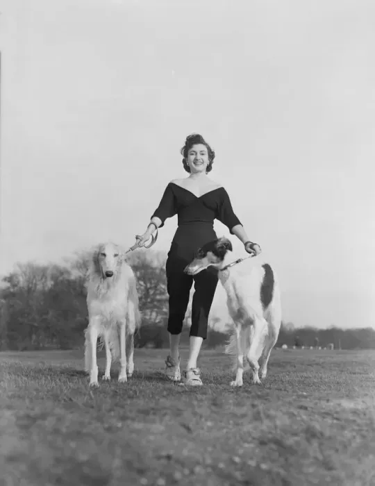 Framed Print : Zene Maishall, film actress, with Barzois dogs Viking and Rena Framed Print : Zene Maishall, film actress, with Barzois dogs Viking and Rena