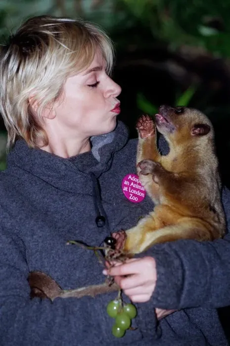 Framed Print : Zoe Ball Radio / TV Presenter October 1998 At London Zoo holding a baby bear she has Framed Print : Zoe Ball Radio / TV Presenter October 1998 At London Zoo holding a baby bear she has
