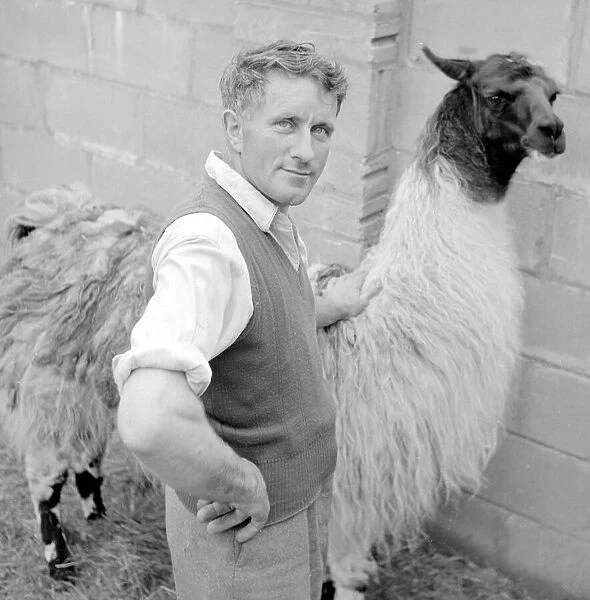 Zoo Keeper with a llama Circa 1958