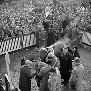 1955 Cheltenham Gold Cup winner, "Gay Donald", in the winners enclosure