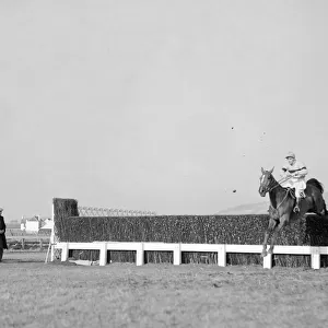 1956 Cheltenham Gold Cup. No. 1 Limber Hill and jockey J Power taking a fence on his way