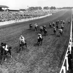 The 1965 Derby was won by the French colt Sea Bird II. The Irish challenger Meadow Court The 1965 Derby was won by the French colt Sea Bird II. The Irish challenger Meadow Court