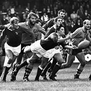 The 1981-82 Australia rugby union tour of Britain and Ireland