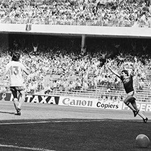 1982 World Cup Finals Group Four match in Bilbao, Spain. England 3 v France 1
