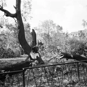 The 1987 Great Storm occurred on the night of 15 ? 16th October 1987 The 1987 Great Storm occurred on the night of 15 ? 16th October 1987