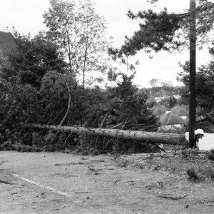 The 1987 Great Storm occurred on the night of 15 ? 16th October 1987 The 1987 Great Storm occurred on the night of 15 ? 16th October 1987