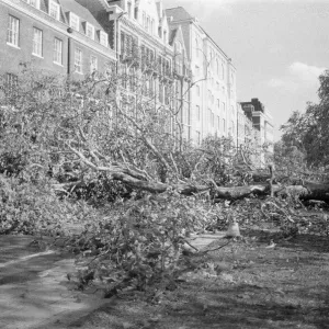 The 1987 Great Storm occurred on the night of 15 ? 16th October 1987 The 1987 Great Storm occurred on the night of 15 ? 16th October 1987