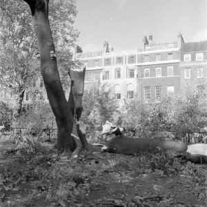 The 1987 Great Storm occurred on the night of 15 ? 16th October 1987 The 1987 Great Storm occurred on the night of 15 ? 16th October 1987