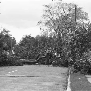 The 1987 Great Storm occurred on the night of 15 ? 16th October 1987 The 1987 Great Storm occurred on the night of 15 ? 16th October 1987