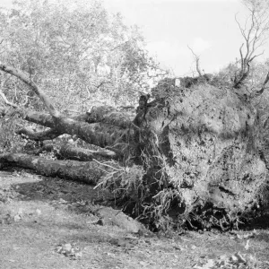 The 1987 Great Storm occurred on the night of 15 ? 16th October 1987 The 1987 Great Storm occurred on the night of 15 ? 16th October 1987