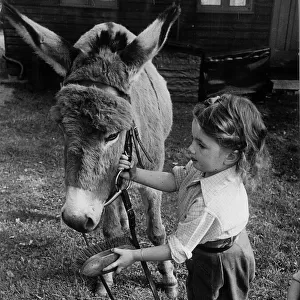 3-year old Jose Hall look after her Donkey Jenny