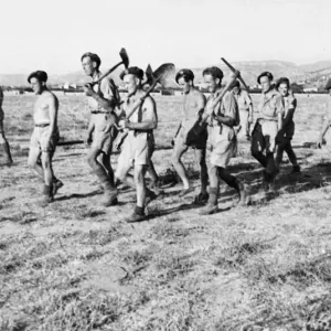 As the 5th and Allied armies press forward in Italy following the successful landings in As the 5th and Allied armies press forward in Italy following the successful landings in