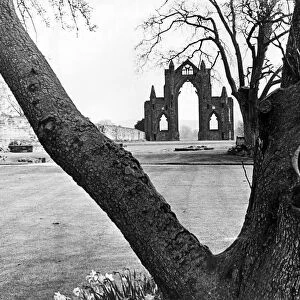 The 98 foot high ruins of the Augustinian Priory Church at Guisborough. 25th April 1975