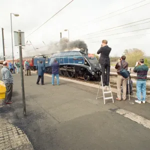 The A4 locomotive Sir Nigel Gresley powers its way through Morpeth Station as it The A4 locomotive Sir Nigel Gresley powers its way through Morpeth Station as it