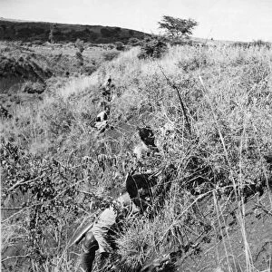 Abyssinian War October 1935 Abyssinian infantry advancing undercover on the Ogaden