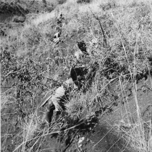 Abyssinian War October 1935 Abyssinian infantry advancing undercover on the Ogaden Abyssinian War October 1935 Abyssinian infantry advancing undercover on the Ogaden