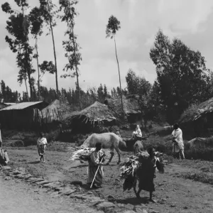 Abyssinian War Print: Addis Ababa Royal Palace Houses 1935 Abyssinian War Print: Addis Ababa Royal Palace Houses 1935