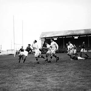 Action from the Swansea v South Africa match at St Helens Ground