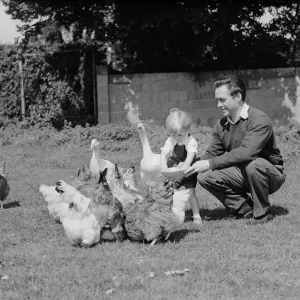 Actor Richard Todd feeding the chickens with his son Peter at home Actor Richard Todd feeding the chickens with his son Peter at home