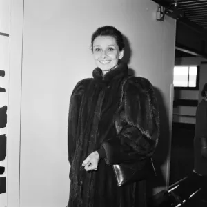 Actress Audrey Hepburn at an airport. April 1984 Actress Audrey Hepburn at an airport. April 1984