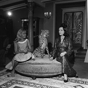 Actress Hayley Mills November 1963 with cheetah