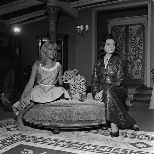 Actress Hayley Mills November 1963 with cheetah and actress Pola Negri on the set