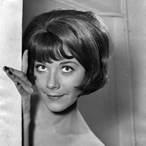 Actress Linda Thorson (as a brunette). January 1968 P008075