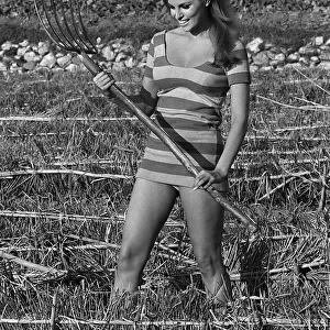 Actress Raquel Welch on location for film shoot 1966 Wearing striped mini dress