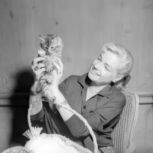 Actress Simone Signoret holding a tiny kitten at a press conference Actress Simone Signoret holding a tiny kitten at a press conference