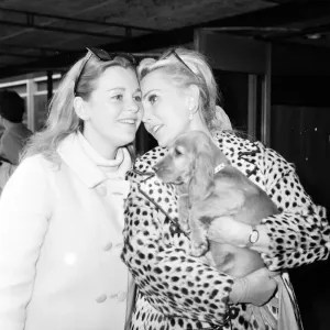 Actress Zsa Zsa Gabor arrives at London Heathrow Airport from New York Friday 20th Actress Zsa Zsa Gabor arrives at London Heathrow Airport from New York Friday 20th