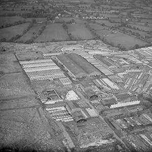 An aerial view showing some of the 16000 newly produced Austin cars which have just come