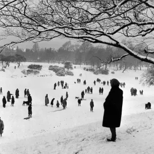 Sefton Park Lake Winter Walk Print, 21st January 1963 Sefton Park Lake Winter Walk Print, 21st January 1963