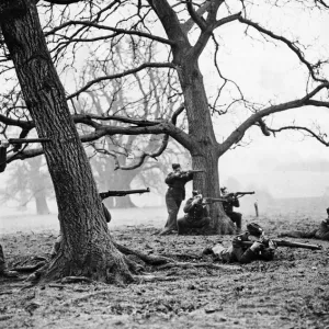 Age old trees provide natural cover for marksmen taking part in field exercises at a