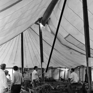 Agricultural Show Cleveland, 27th July 1985 Agricultural Show Cleveland, 27th July 1985