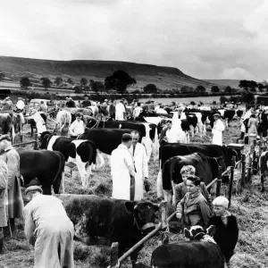 Agricultural Show Danby Print, 17th August 1961 Agricultural Show Danby Print, 17th August 1961