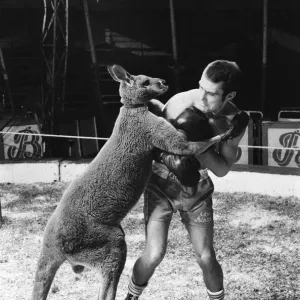 Alan Minter (born 17 August 1951) is a British former professional boxer who competed Alan Minter (born 17 August 1951) is a British former professional boxer who competed