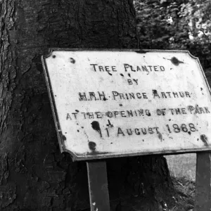 Albert Park, Middlesbrough, 9th August 1968. Tree planted by HRH Prince Arthur Albert Park, Middlesbrough, 9th August 1968. Tree planted by HRH Prince Arthur