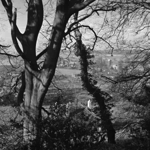 Aldbury Village in Hertfordshire seen through the trees weather seasons winter Outdoors Aldbury Village in Hertfordshire seen through the trees weather seasons winter Outdoors