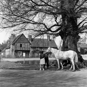 Aldbury Village, near Tring, Hertfordshire. Circa 1950s Aldbury Village, near Tring, Hertfordshire. Circa 1950s