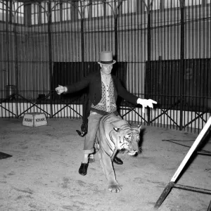 Alex Kerr and tiger Khan Man straddling big cat December 1957
